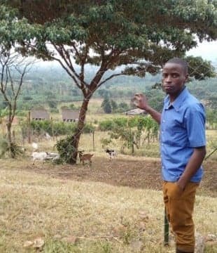 Article Preview Image