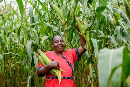 Article Preview Image