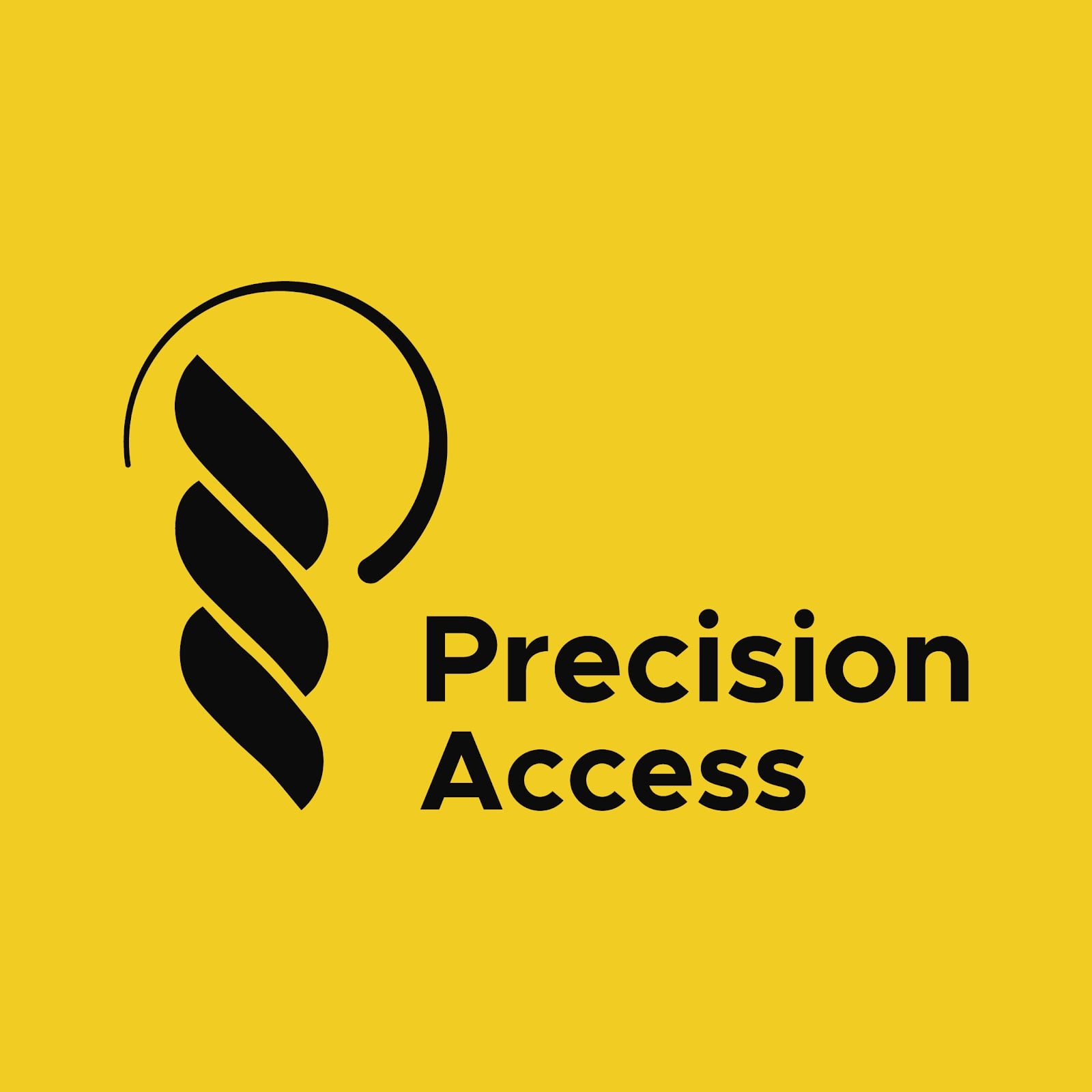 Precision Access Solutions logo