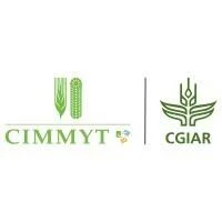 International Maize and Wheat Improvement Center (CIMMYT) International Maize and Wheat Improvement Center (CIMMYT)