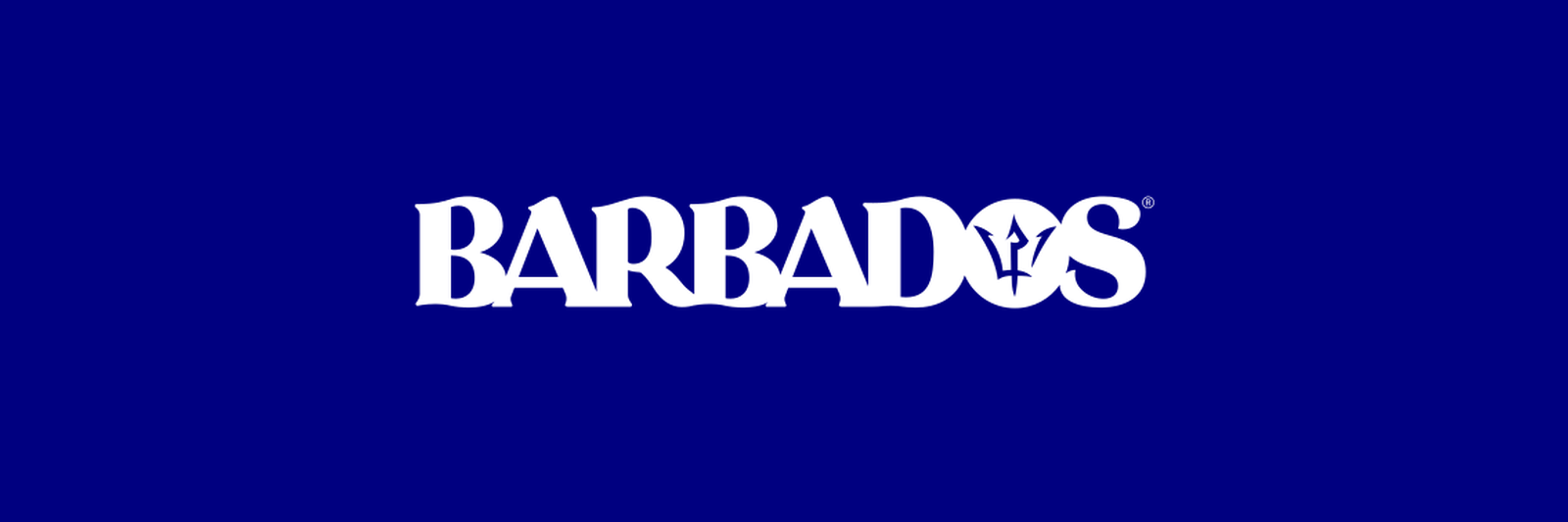 Company banner