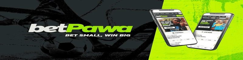 Company banner